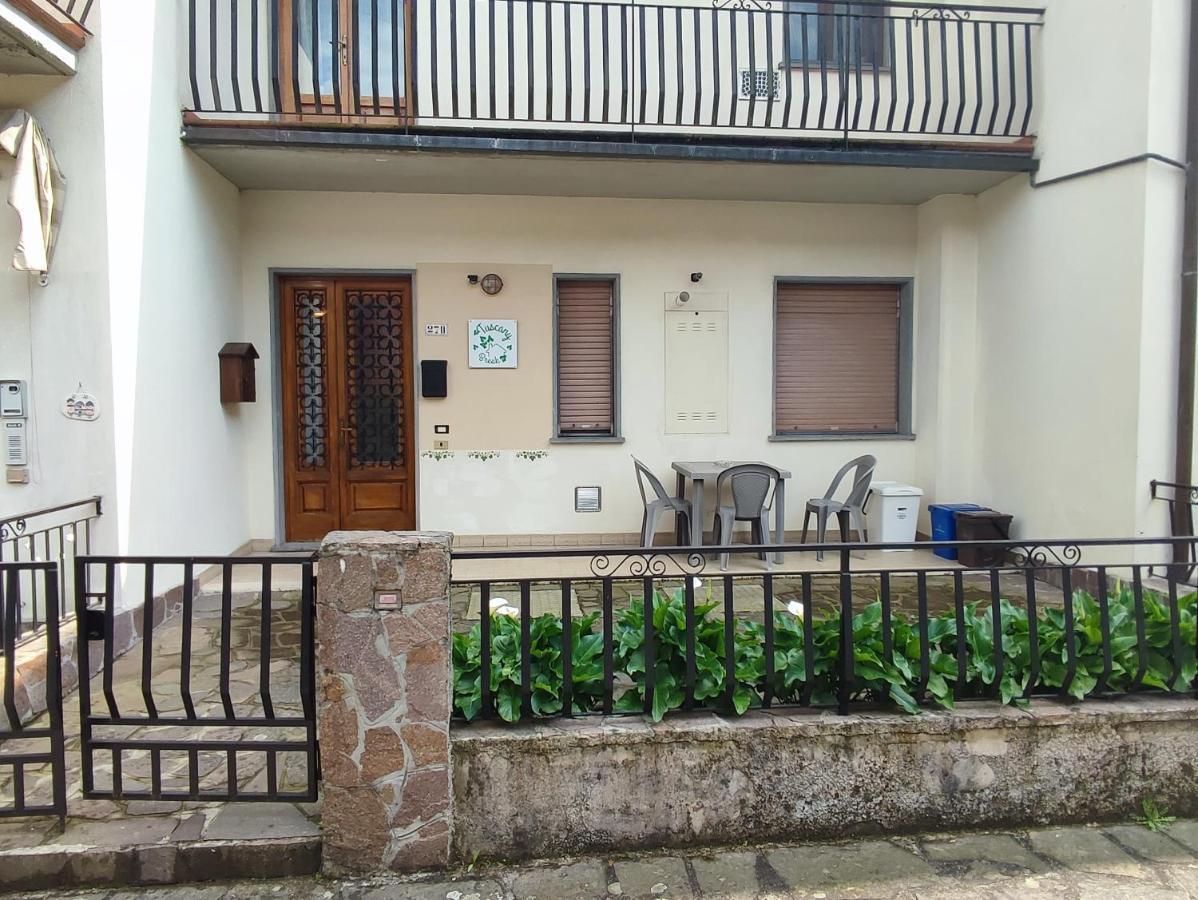 Tuscany Break Gallicano المظهر الخارجي الصورة